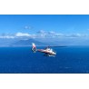 Tour archeologico da Ischia