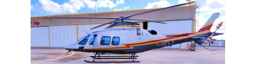 Volo privato in elicottero VIP | Forte dei Marmi - Milano