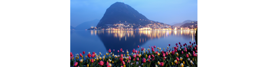 Private VIP Helicopter transfer | Lugano - Milan